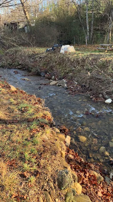 Mt Pisgah Campgrounds Picture 3