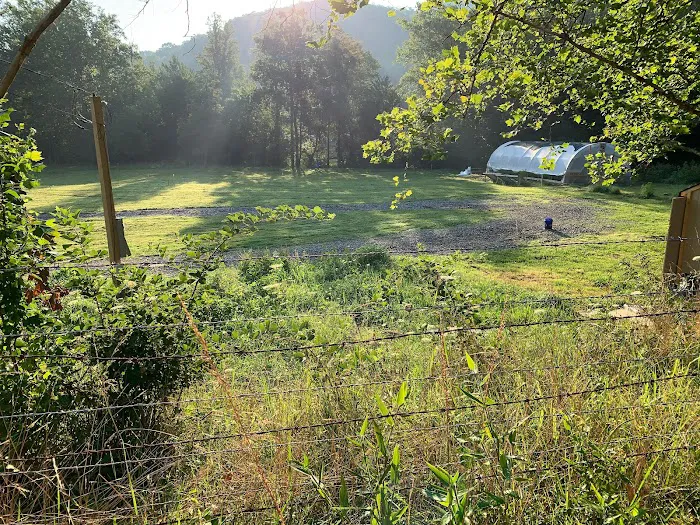 Mt Pisgah Campgrounds Picture 7
