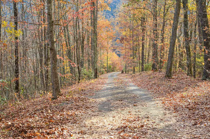Mt Pisgah Campgrounds Picture 13