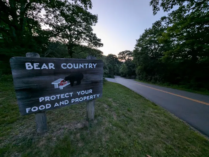 Mount Pisgah Campgrounds Picture 6