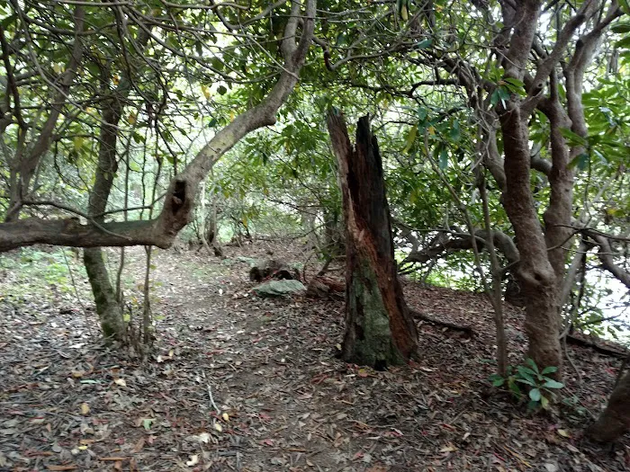 Mount Pisgah Campgrounds Picture 5