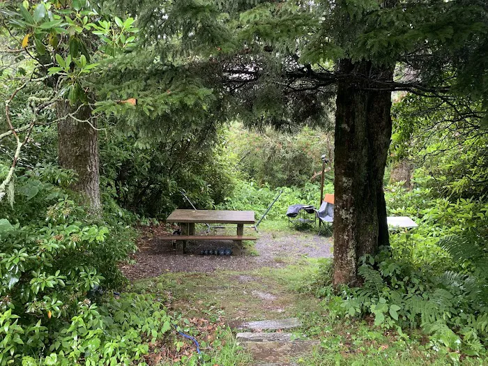 Mount Pisgah Campgrounds Picture 2