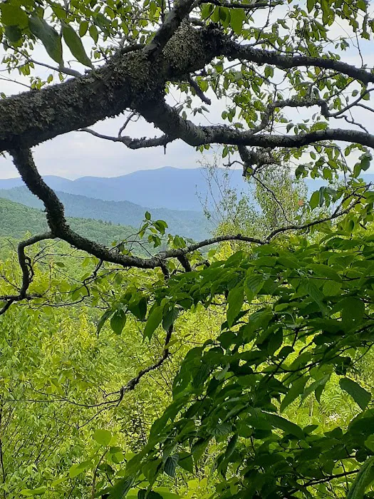 Mount Pisgah Campgrounds Picture 8