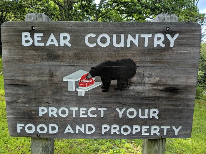 Mount Pisgah Campgrounds Picture 10