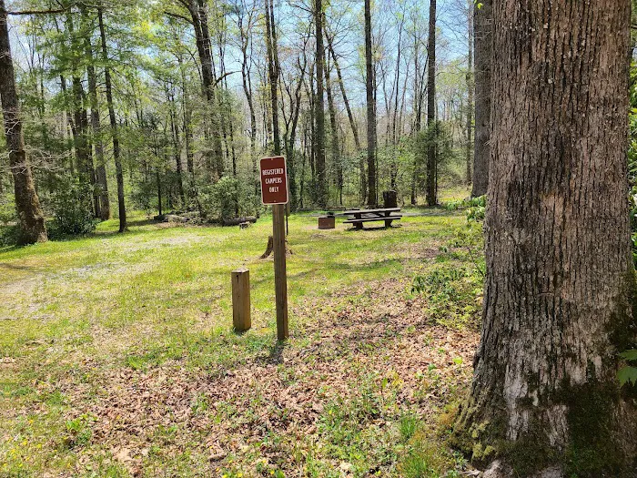 USFS Wolf Ford Horse Camp Picture 6