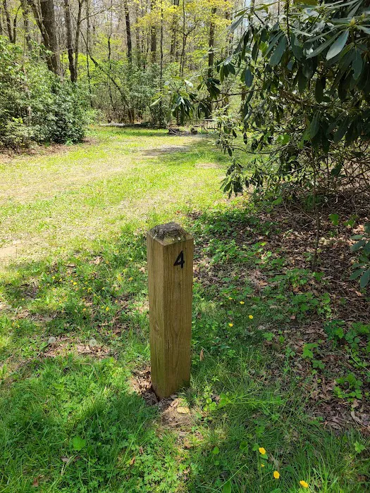 USFS Wolf Ford Horse Camp Picture 9