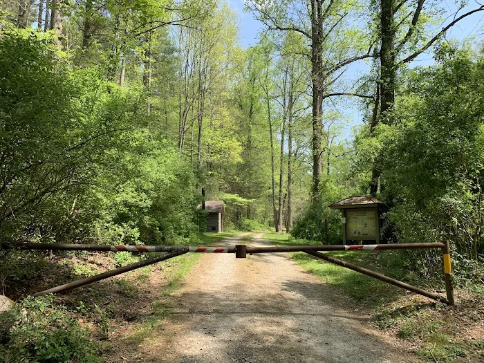 USFS Wolf Ford Horse Camp Picture 10
