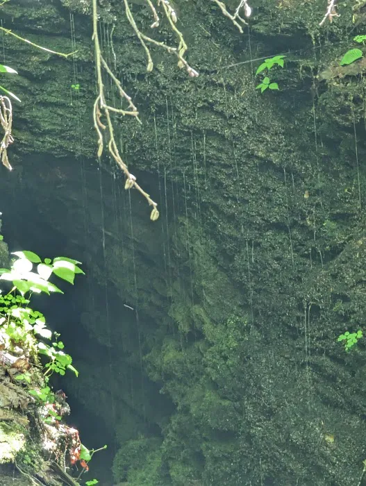 USFS Wolf Ford Horse Camp Picture 1
