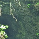 USFS Wolf Ford Horse Camp