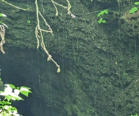 USFS Wolf Ford Horse Camp