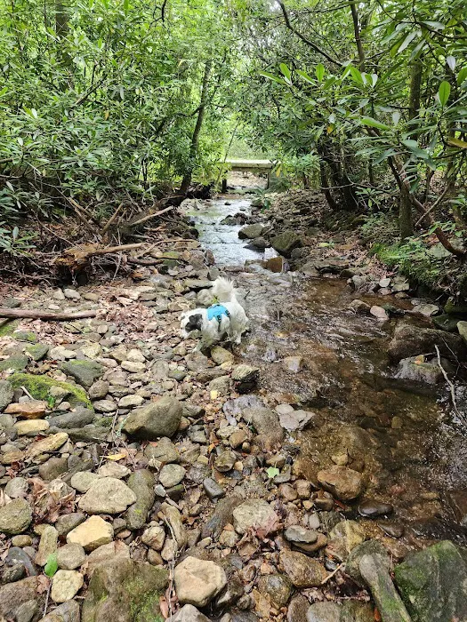 USFS Wolf Ford Horse Camp Picture 8
