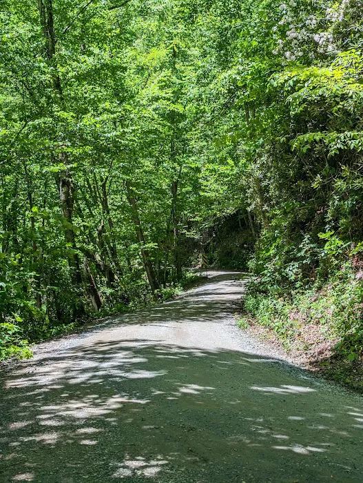 USFS Wolf Ford Horse Camp Picture 3