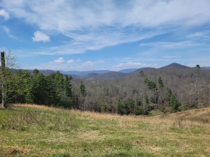 Persimmon Green - Camp Sites Picture 3