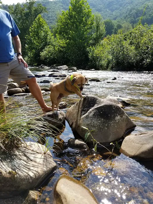 Riverside Campground Picture 9