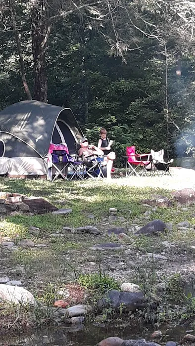 Laurel Bank Campground Picture 2