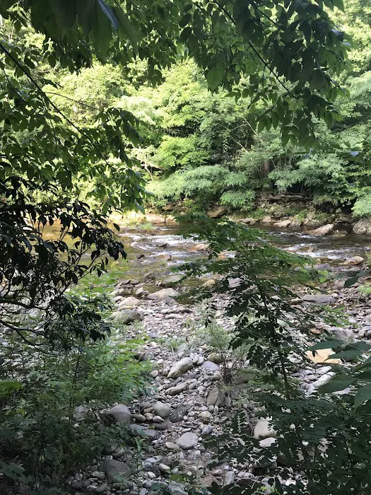 Laurel Bank Campground Picture 6