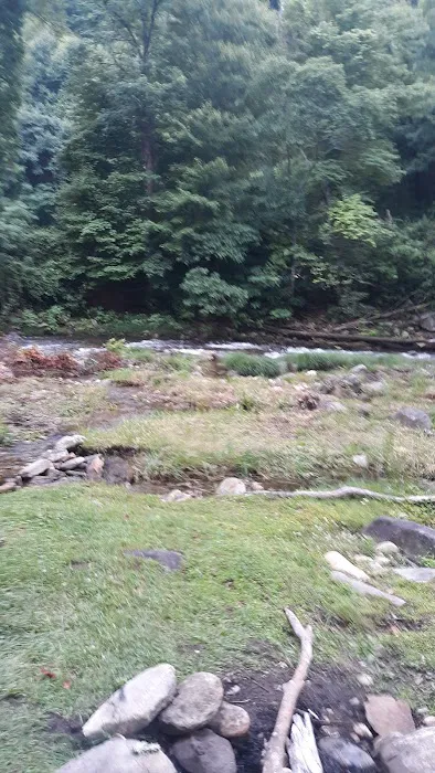 Laurel Bank Campground Picture 4