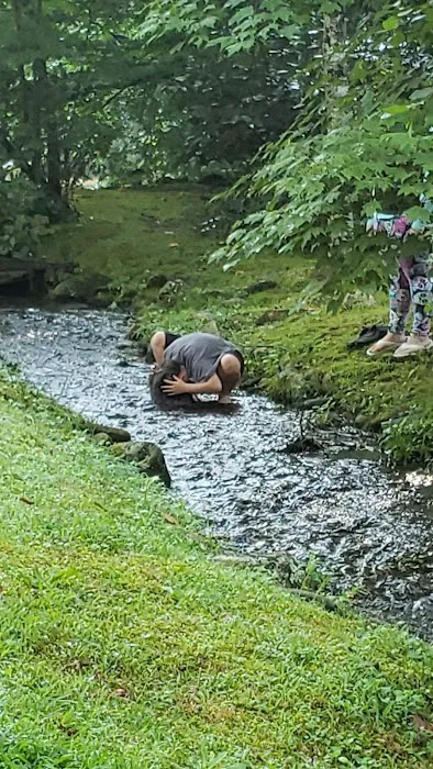Laurel Bank Campground Picture 1