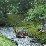 Laurel Bank Campground