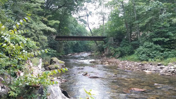 Laurel Bank Campground Picture 3