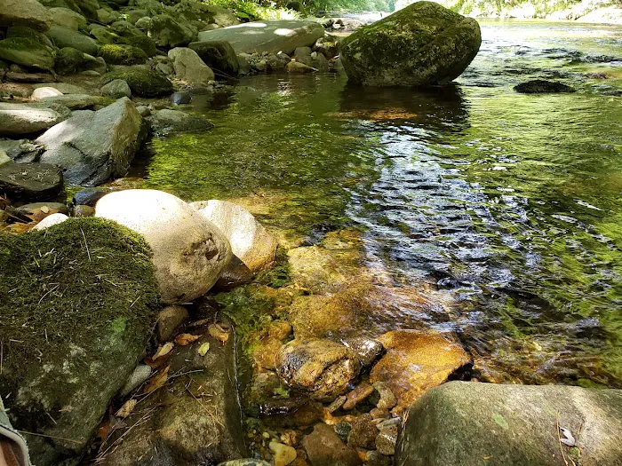 Laurel Bank Campground Picture 5