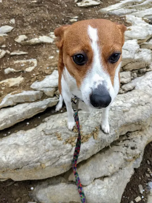 Lakeside Campground Picture 10