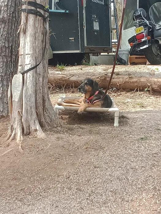 Backwoods Market And Campground Picture 1