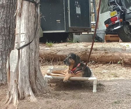 Backwoods Market And Campground