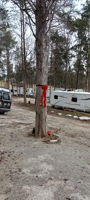 Backwoods Market And Campground Picture 4