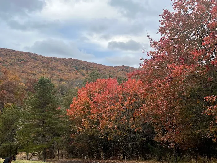 Heavenly Hills Nature Retreat - Banks Farms Campground Resort Picture 9
