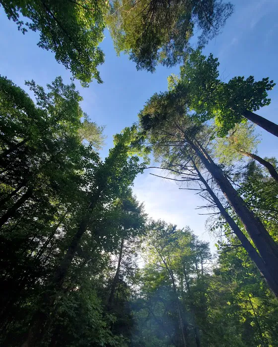 Paint Creek Campground Picture 7