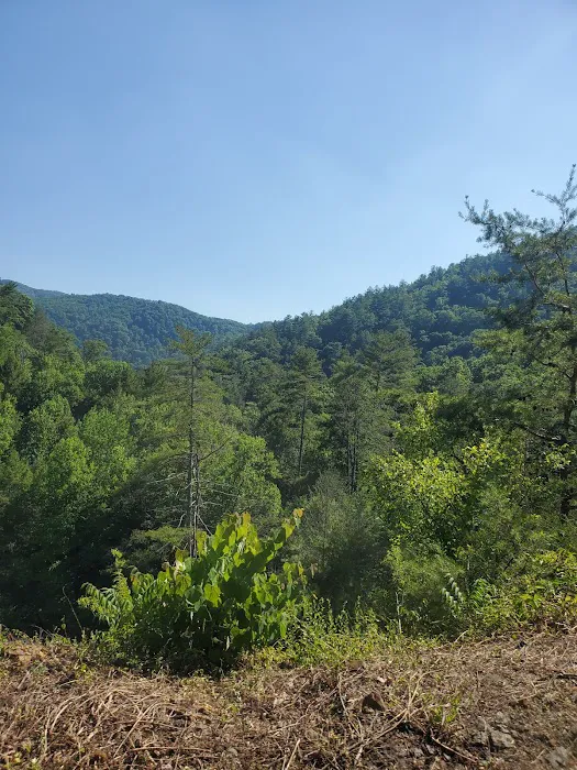 Paint Creek Campground Picture 4