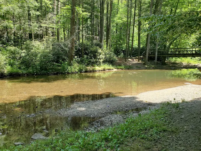 Paint Creek Campground Picture 3