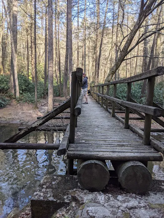 Paint Creek Campground Picture 10
