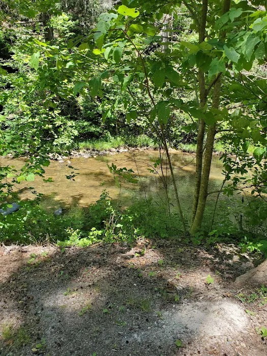 Paint Creek Campground Picture 6