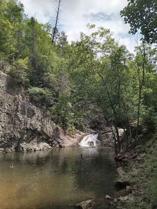 Paint Creek Campground Picture 9