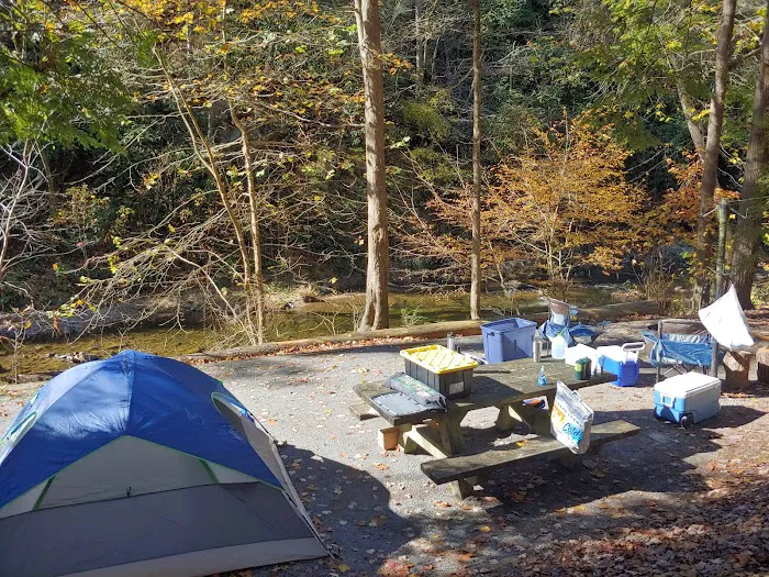 Paint Creek Campground Picture 8