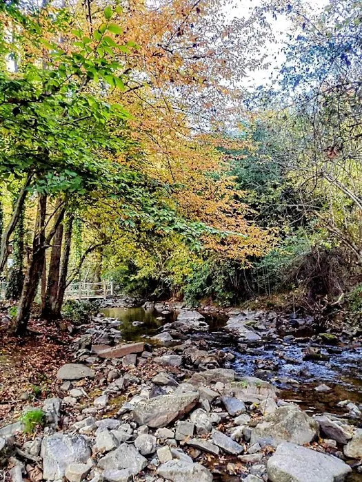 Long Creek Haven Picture 10