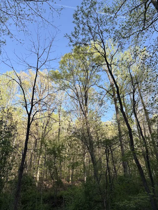 Long Creek Haven Picture 4