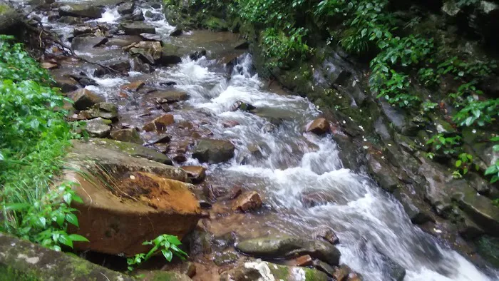 Weavers Bend Picture 10