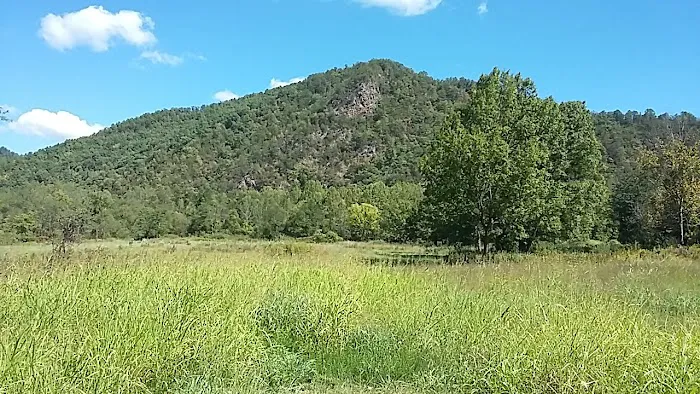 Weavers Bend Picture 6