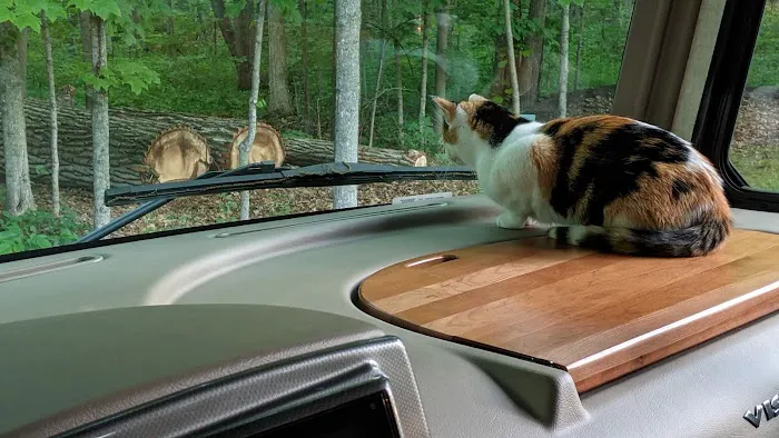 St. Lorenz Churchgrove & Campground Picture 7