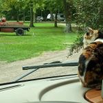 St. Lorenz Churchgrove & Campground