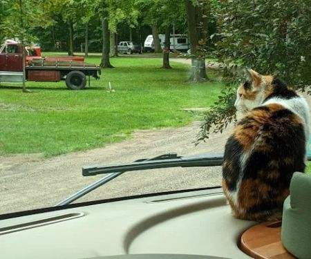 St. Lorenz Churchgrove & Campground