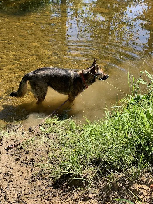 Ruby Campground Picture 3