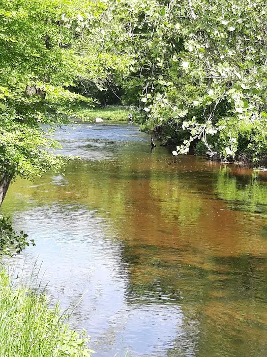 Ruby Campground Picture 9