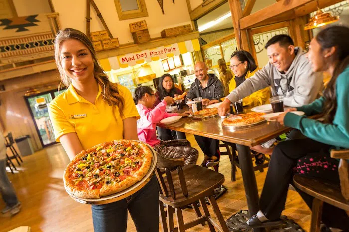 Port Huron KOA Resort Picture 8