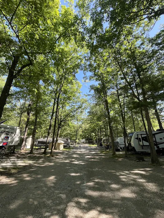 Thousand Trails St. Clair Picture 6