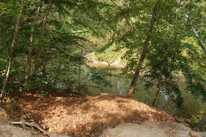 Thousand Trails St. Clair Picture 4