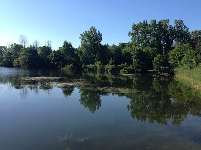 Moose Lake Campground Picture 3